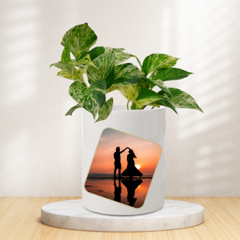 Personalised Money Plant Marble For Couple