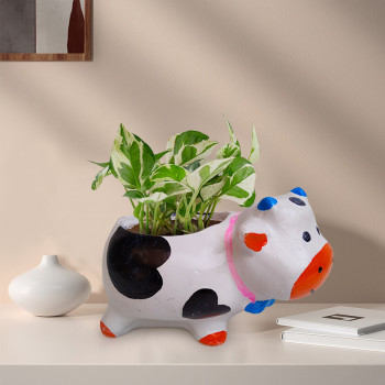 Cow Shape Resin Planter Pot with  Money Plant Marble Prince