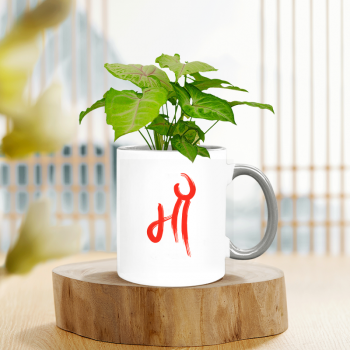 Syngonium Green Varigated Plant With Personalised Mug White