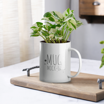 Money Plant Marble Prince, Scindapsus Enjoy Plant With Personalised Mug White