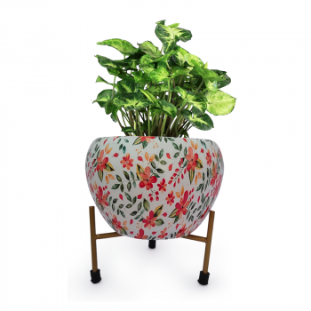Metal Indoor Plants/Flower Pot with Stand