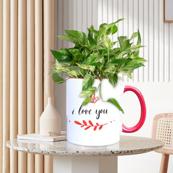 Money Plant Marble Queen Plant With Personalised Mug White