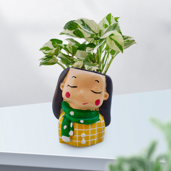 Money Plant Marble Prince In Winter Girl Resin pot