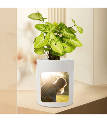 Beautiful Syngonium White Butterfly Plant with Personalised White Mug