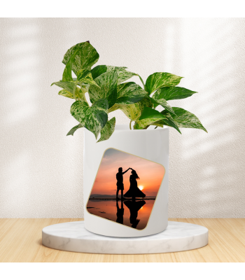 Personalised Money Plant Marble For Couple