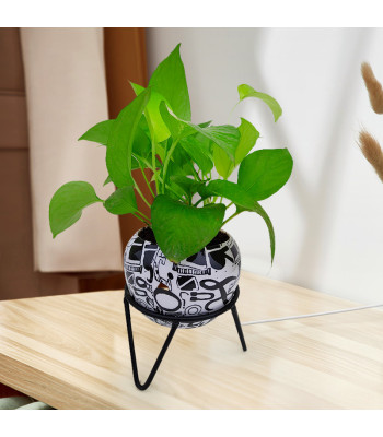 Money Plant Golden - Marble Metal Pot with Stand
