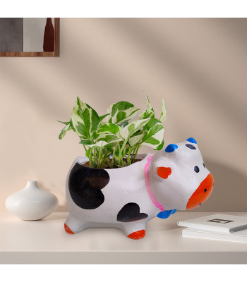 Cow Shape Resin Planter Pot with  Money Plant Marble Prince