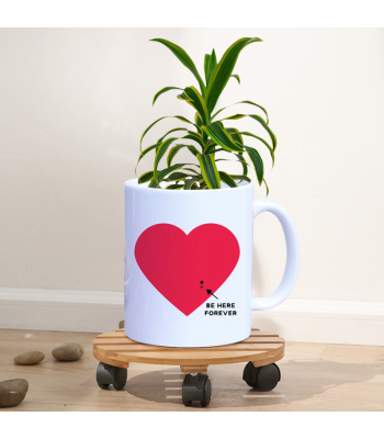 Song Of India Plant With Personalised Mug White