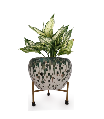 Metal Round Shape Flower Plant & Pot with Stand