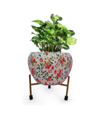 Metal Indoor Plants/Flower Pot with Stand