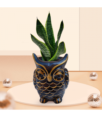 Amazing Owl Resin Pot