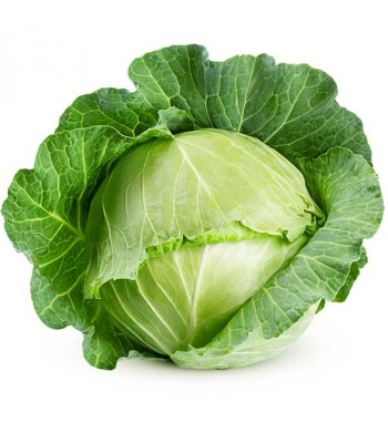 Cabbage Special Pride - Vegetable Seeds