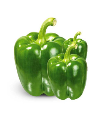 Capsicum Green - Vegetable Seeds