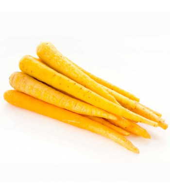 Carrot Yellow Taborska Z Seeds - Vegetable Seeds