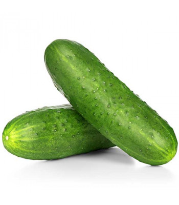 Cucumber F1 Hybrid Sultan - Vegetable Seeds