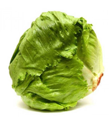 Lettuce Ice Berg Crispiano - Vegetable Seeds buy online at low price from Plantsnplanters.