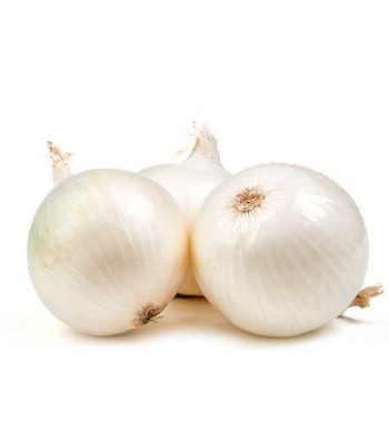 Onion White - Vegetable Seeds