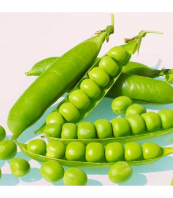 Peas Arkel - Desi Vegetable Seeds