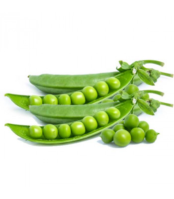 Peas PV 10 - Desi Vegetable Seeds