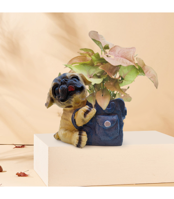Syngonium Pink Plant In Dog shape Resin Pot