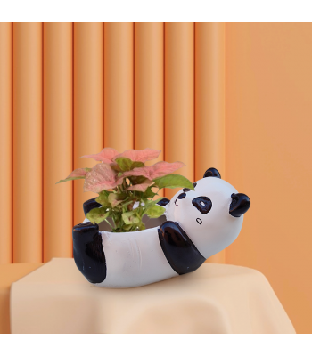 Syngonium Pink Plant In Sleeping Panda Resin Pot