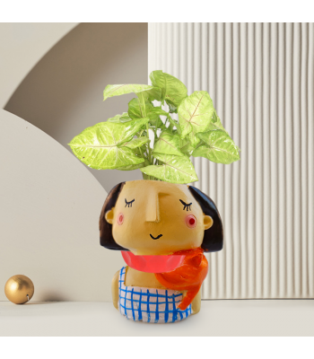 Syngonium Pixie Plant In Girl With Red Scarf Resin Pot