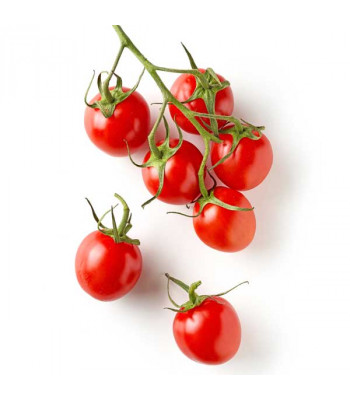 Cherry Tomato Wild Texas - Vegetable Seeds