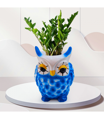 ZZ Plant - Zamioculcas In Beautiful Owl Resin Pot