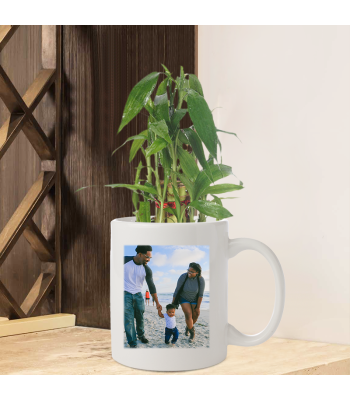 Lucky Bamboo Plant Personalised Mug For Family