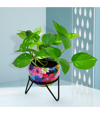 Multicolor Metal Pot with Stand