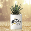 Haworthia Margaritifera Plant With Personalised Mug White