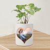 Personalised Syngonium Varigated Plant For Wife
