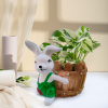 Money Plant Marble Prince In Rabbit  Resin Pot