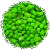 Parrot Green Color Decorative - Pebbles