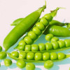 Peas Arkel - Desi Vegetable Seeds