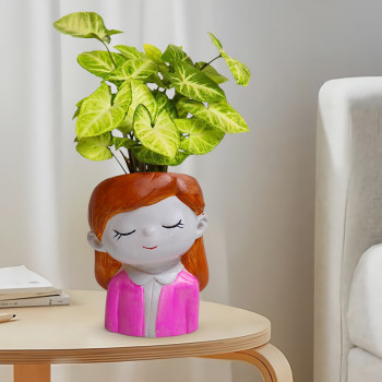 Syngonium White Butterfly Plant in Day Dreaming Girl Resin Pot