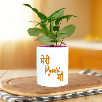 Syngonium White Butterfly Plant With Personalised Mug White