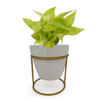Modern plant pot holder stand for indoor plants