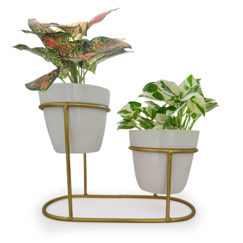 DECOR Desk Metal Pot Planters with Stand