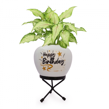 Happy Birthday - Metal Flower Pot With Stand
