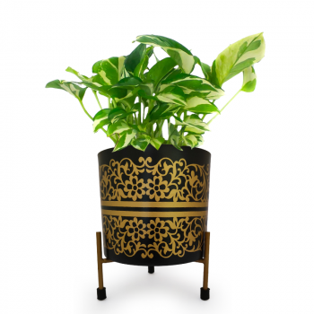 Home and Garden Decor Flower Pot with Stand