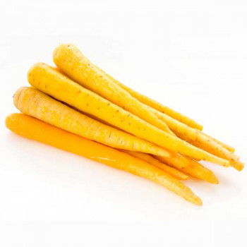 Carrot Yellow Taborska Z Seeds - Vegetable Seeds