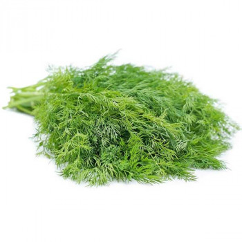Dill Imported Soya - Herb Seeds