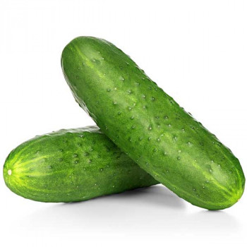 Cucumber F1 Hybrid Sultan - Vegetable Seeds