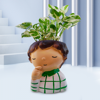 Money Plant Marble Prince In Naughty Boy Resin Pot