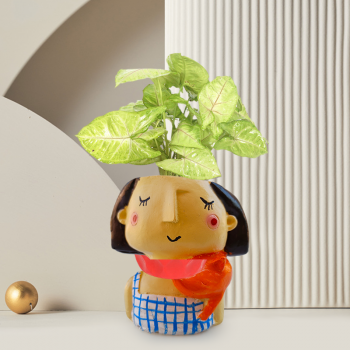 Syngonium Pixie Plant In Girl With Red Scarf Resin Pot