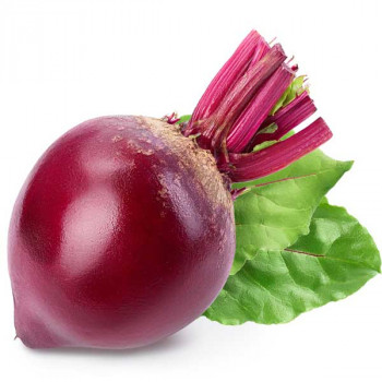 Turnip Purple Top - Vegetable Seeds