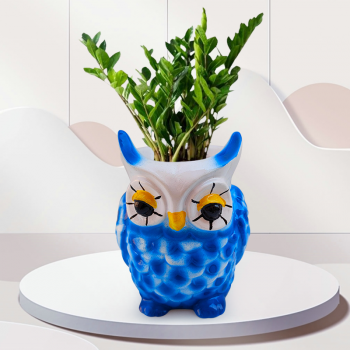 ZZ Plant - Zamioculcas In Beautiful Owl Resin Pot