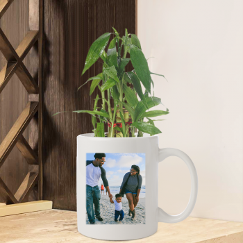 Lucky Bamboo Plant Personalised Mug For Family