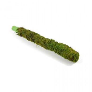 Moss Stick (2Feet)